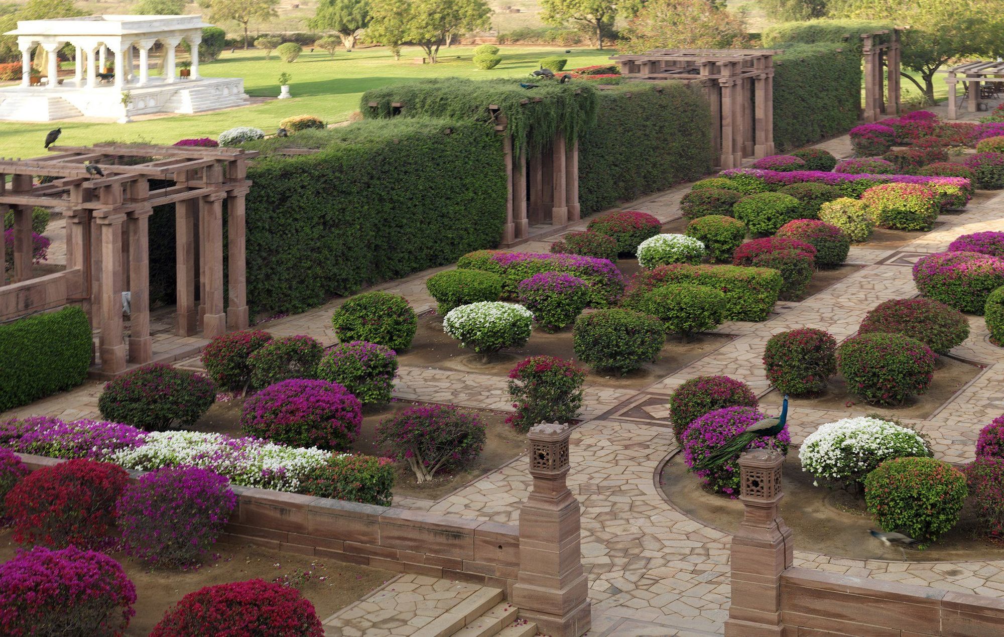 Umaid Bhawan Palace Jodhpur Jodhpur  Servizi foto